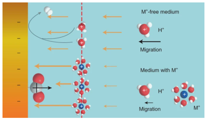 争议连连！这一话题连发5篇Nature Catalysis！