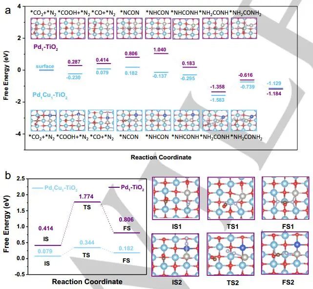 计算日报||顶刊集锦：EES/AM/AEM/Angew/AFM/Small等计算成果