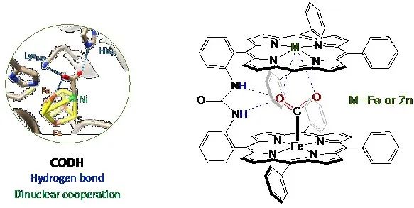 Angew.：双金属卟啉催化剂对二氧化碳电催化还原的推-拉效应