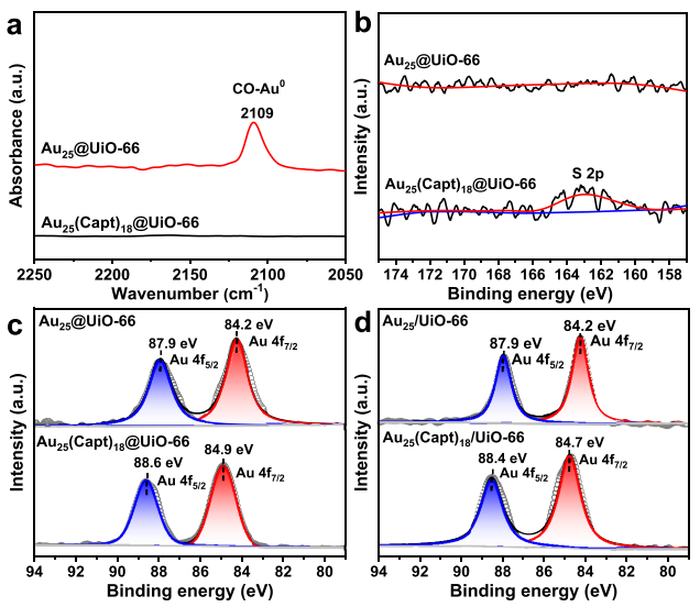 他，发表第21篇JACS！