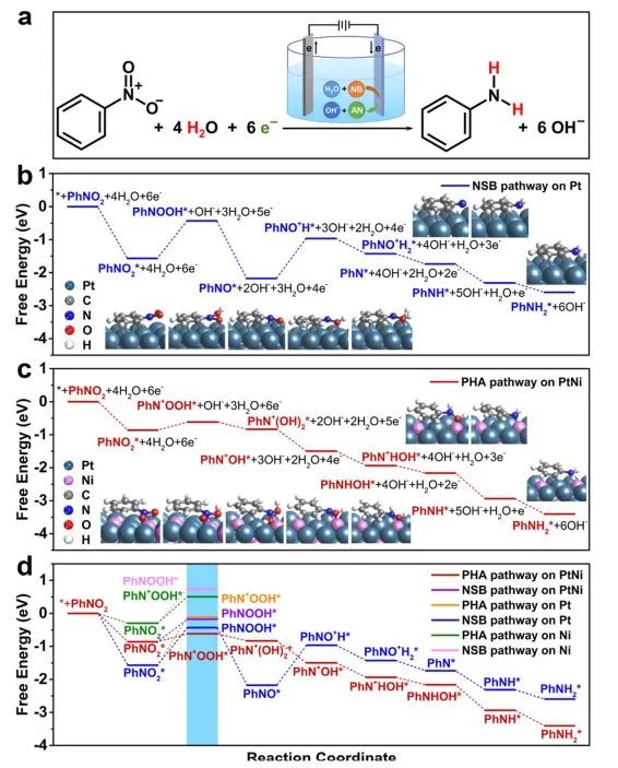 催化顶刊集锦：Nat. Commun.、JACS、AFM、ACS Catal.、ACS Nano、Small等