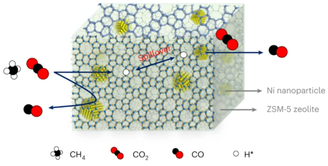 浙江大学肖丰收/王亮团队，再发Nature Catalysis！