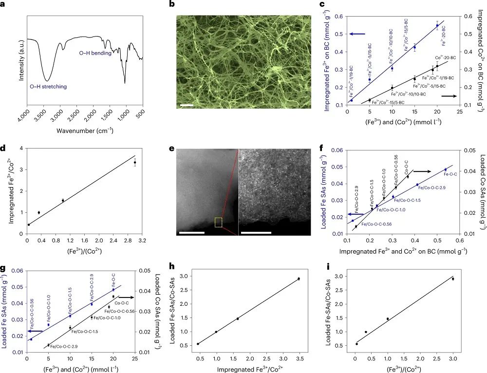 赵惠军&张海民，最新Nature子刊！