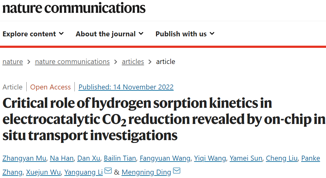 丁梦宁/李彦光Nature子刊：揭示氢吸附动力学在电催化CO2还原中的作用