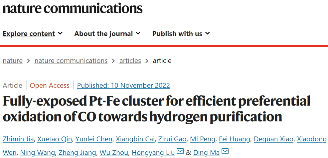 北大/金属所Nature子刊：100%选择性！Pt-Fe/ND@G实现CO完全转化