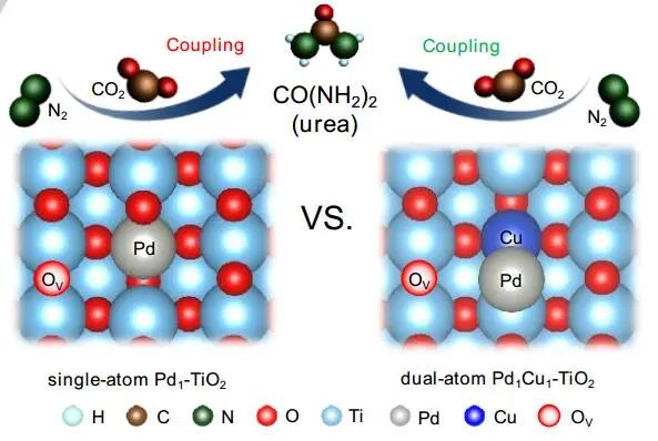 北交大Angew.：TiO2纳米片中的单原子或双原子：电催化尿素合成的最佳选择？