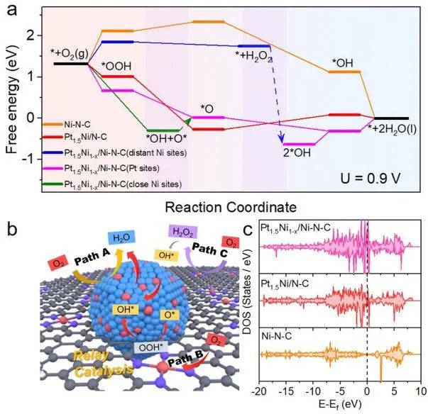 催化日报||顶刊集锦：EES/JACS/AFM/Nano Energy/ACS Catal/Small等