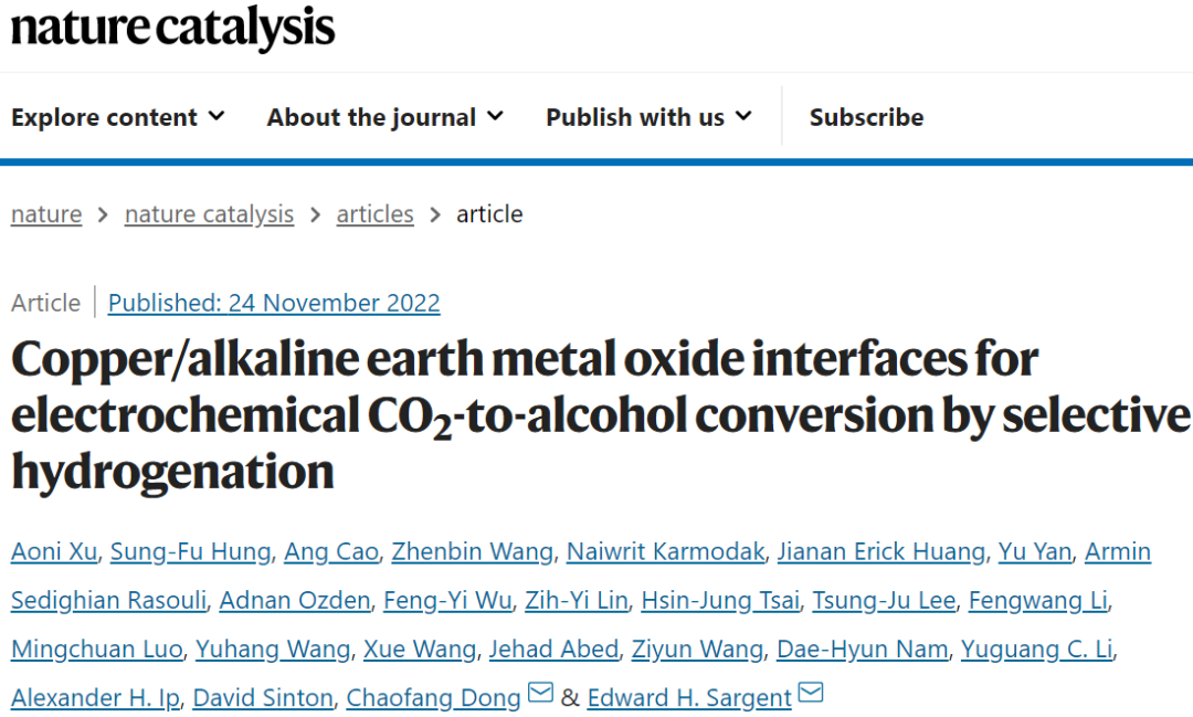 Edward H. Sargent院士&董超芳，最新Nature Catalysis！