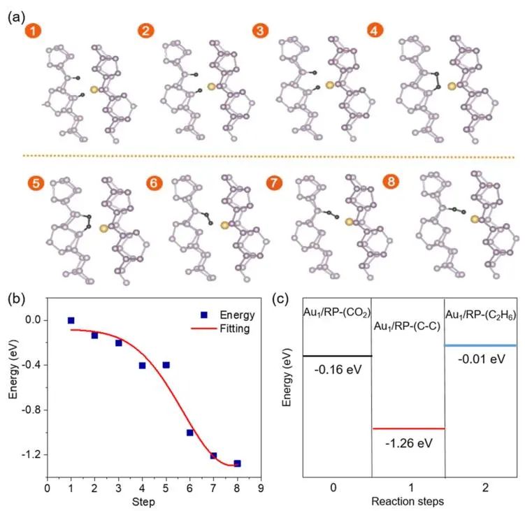 四天三篇顶刊！Angew.、Nano Letters后，李亚栋&王定胜等再发JACS！