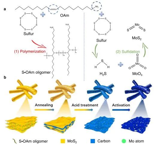 催化顶刊集锦：Nat. Commun.、JACS、AFM、ACS Catal.、ACS Nano、Small等