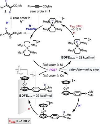 ​JACS：使用PCET介体使Ni-HER电催化剂作为氢化物传递剂