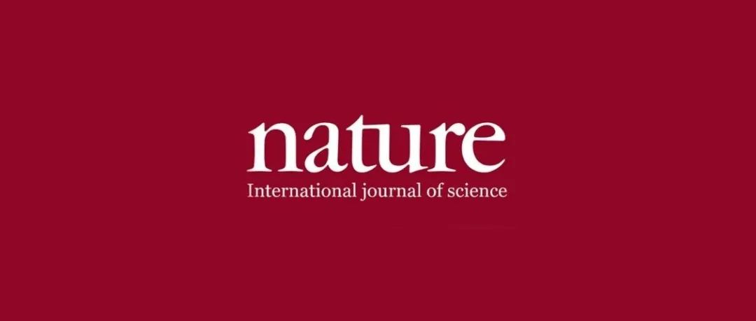 华科夏宝玉，最新Nature子刊！