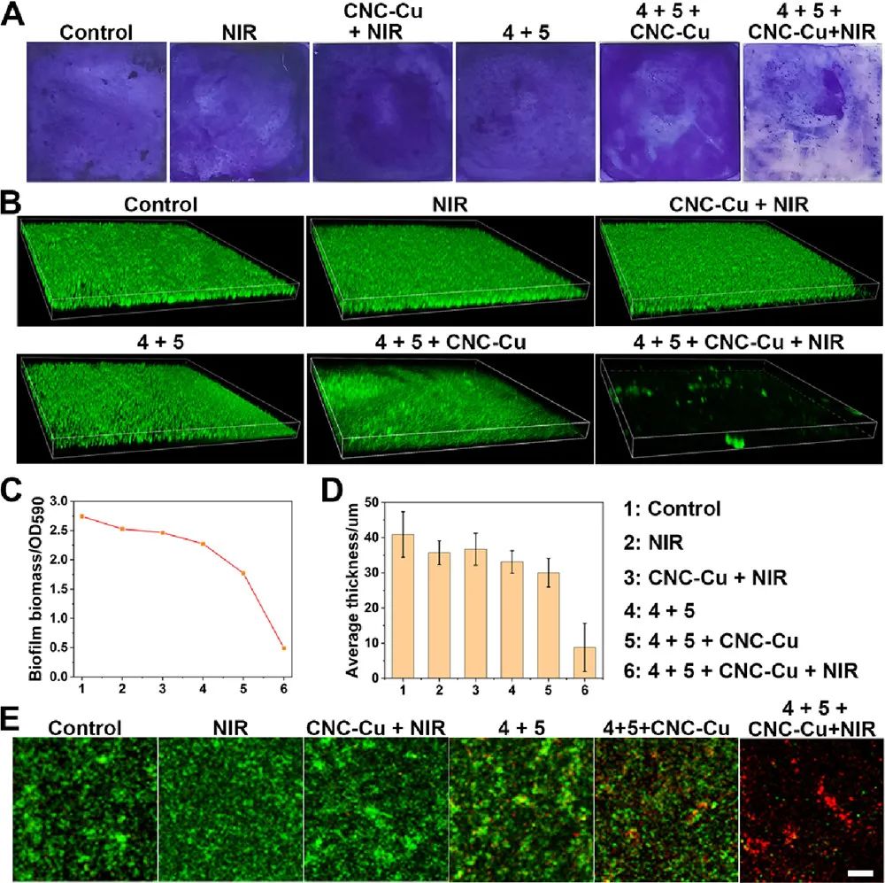 催化顶刊集锦：Nature、JACS、Angew.、CEJ、ACB等成果精选！