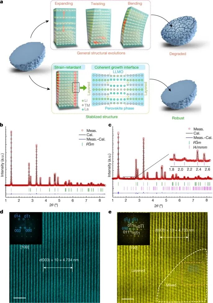 浙江大学吴天品&陆俊，最新Nature！