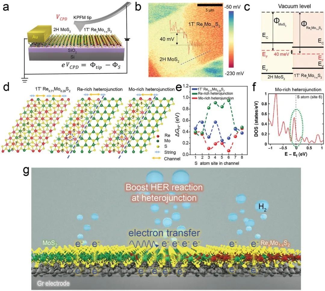 ​AFM：1T’RexMo1-xS2-2H MoS2横向异质结增强析氢反应性能