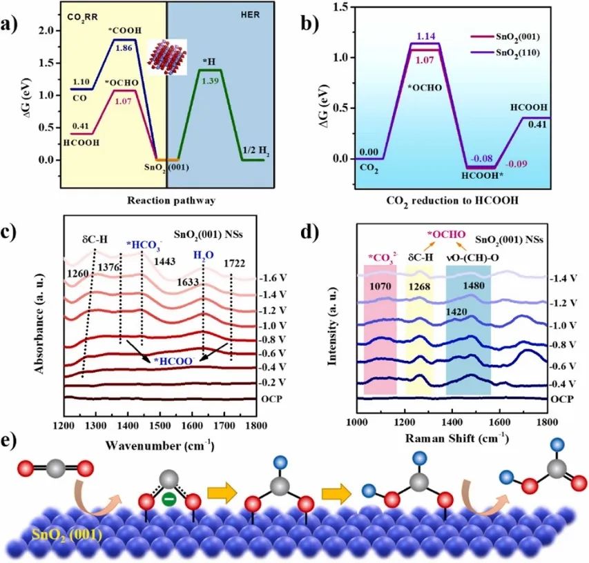 ​天大马新宾/张生Nano Energy：超薄氧化锡衍生纳米片助力电化学CO2还原