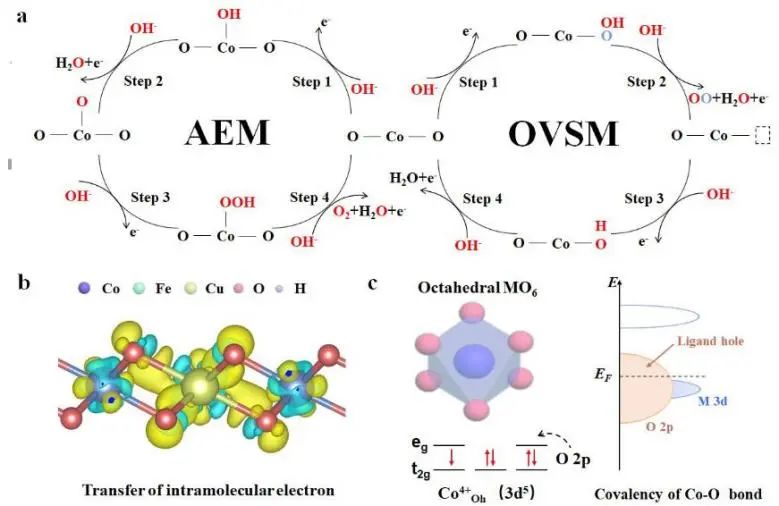 催化顶刊集锦：Angew.、JACS、EES、AM、AFM、Small等