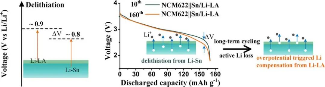 ​华科孙永明EnSM：异质锂合金界面相在高能锂电池循环过程中实现锂补偿
