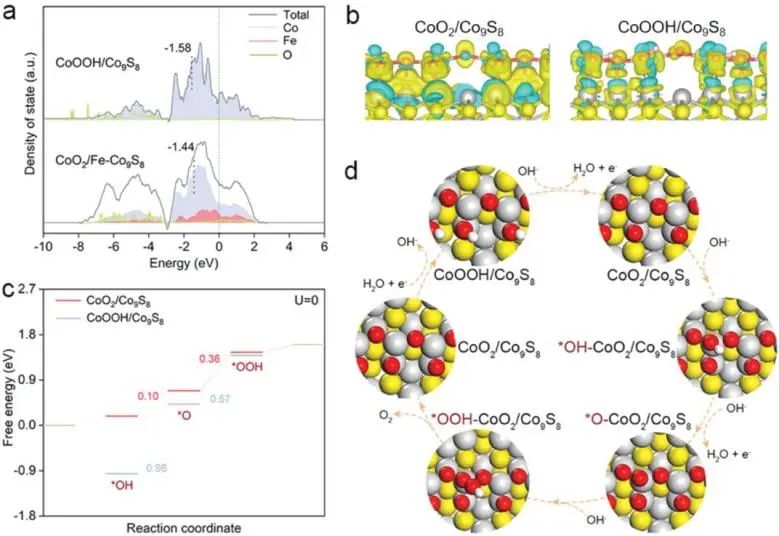 催化顶刊集锦：Angew.、Nat. Commun.、ACS Catalysis、ACS Energy Letters等