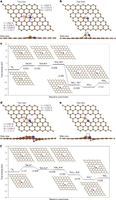 赵惠军&张海民，最新Nature子刊！