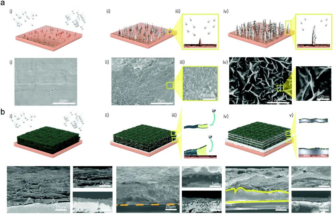 Advanced Science：控制锂离子通量获得高性能锂金属电池