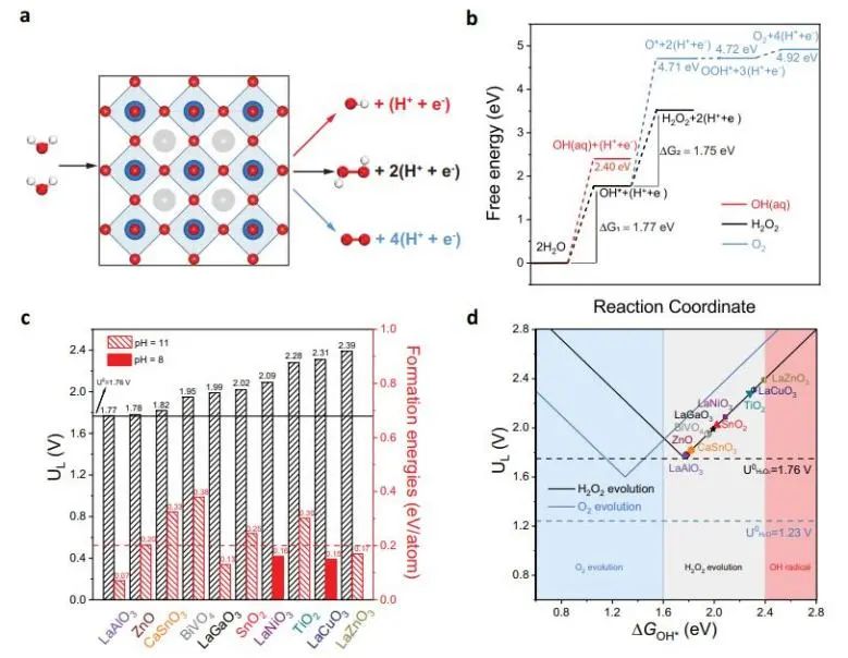 Nature子刊：理论计算加实验，筛选出LaAlO3用于高效催化2e−WOR产H2O2