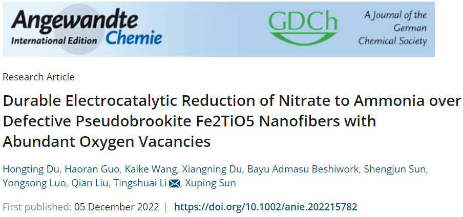 ​电子科大Angew：Fe2TiO5 NFs电催化硝酸盐还原为氨