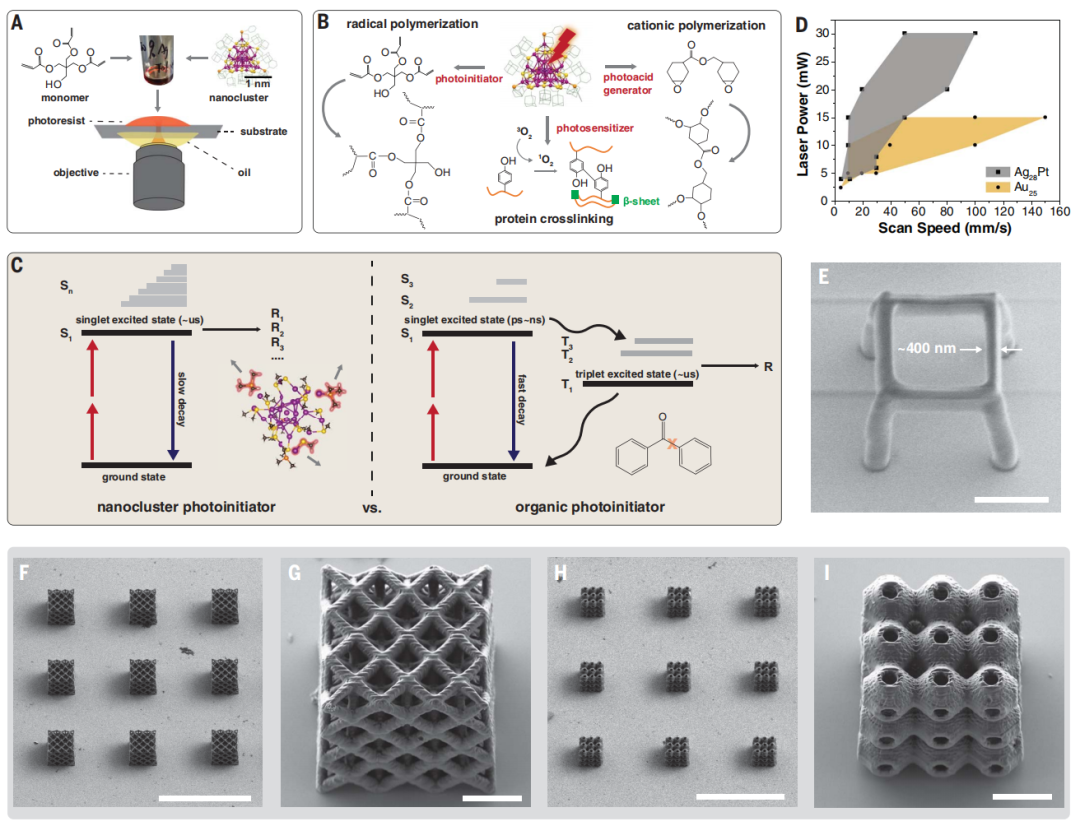 3D打印，登顶Science！