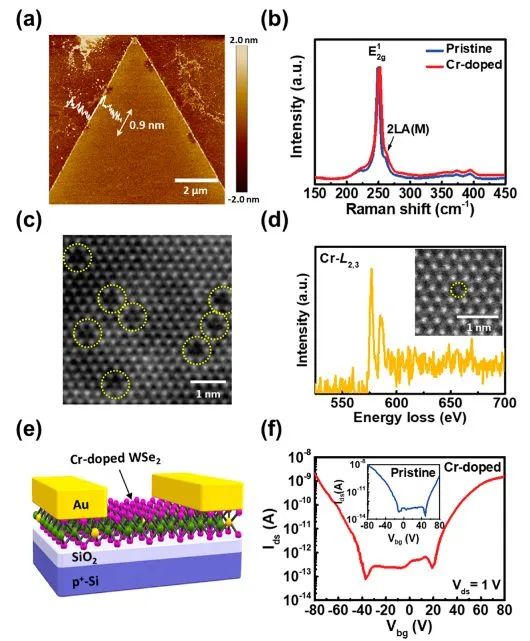 催化顶刊集锦：Nat. Commun.、JACS、AFM、ACS Catal.、ACS Nano、Small等