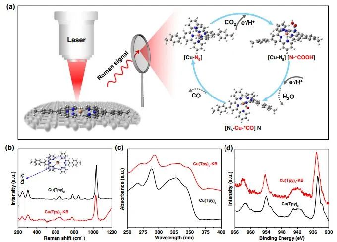 谢毅/罗奇鸣/高山/詹孝文Nature子刊：Operando光谱+DFT计算，探究Cu(Tpy)2上电催化CO2转化机理