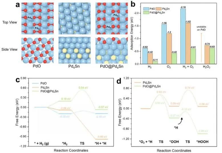 熊海峰/黄小青/林森Nature子刊：PdSn纳米线上层状Pd氧化物促进直接H2O2合成