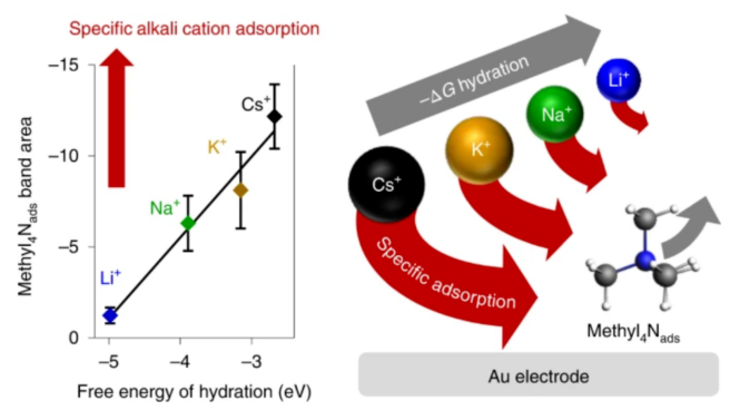 争议连连！这一话题连发5篇Nature Catalysis！