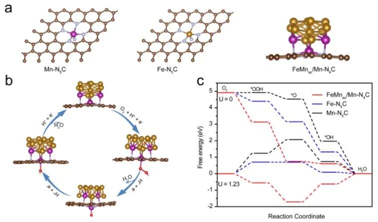 催化顶刊集锦：Angew.、JACS、EES、AM、AFM、Small等