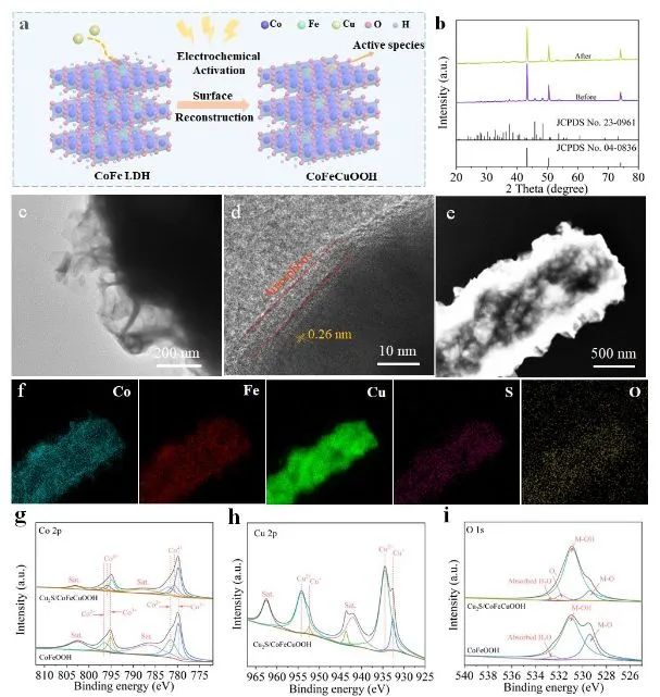 催化顶刊集锦：Angew.、JACS、EES、AM、AFM、Small等