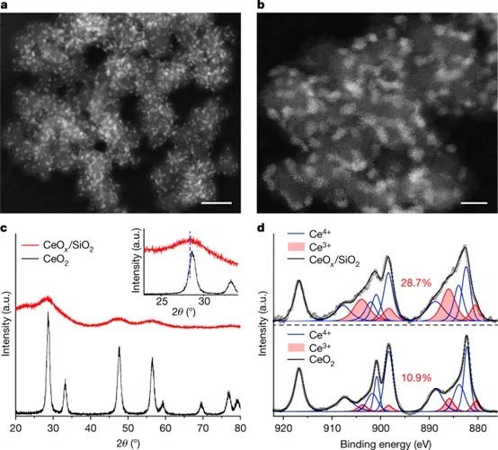 ​Nature：用于稳定原子分散催化剂的功能性CeOx纳米胶