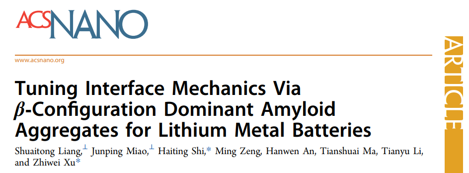 ​徐志伟/石海婷ACS Nano: 通过淀粉样蛋白聚集体调节锂金属电池界面力学