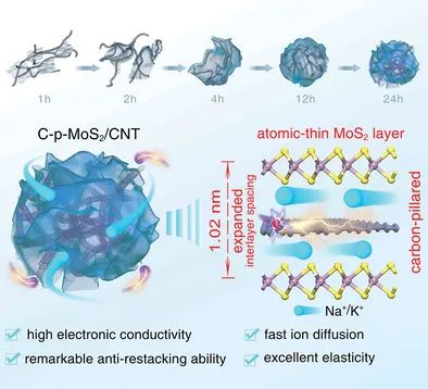 刘金平/刘丹AFM：纸球状C-p-MoS2/CNT作为钠/钾离子电池的优良负极