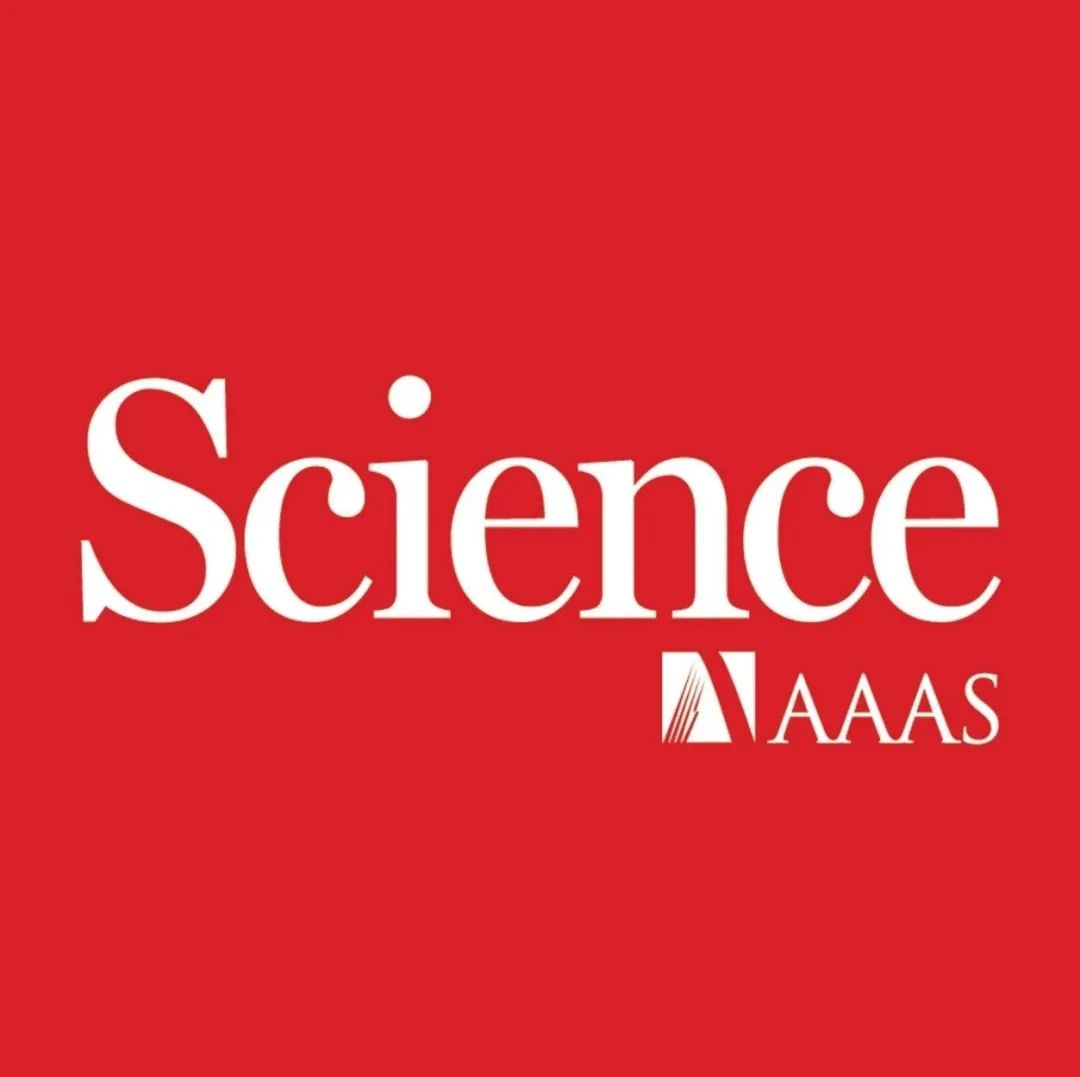 靠声音成就一篇Science封面论文！