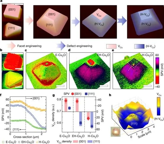 催化顶刊集锦：Nature、JACS、Angew.、CEJ、ACB等成果精选！