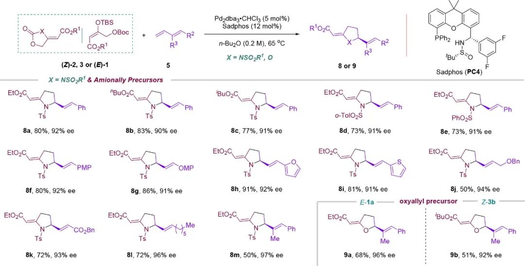 ​复旦张俊良JACS：PC-Phos催化的钯杂烯丙基不对称环加成反应