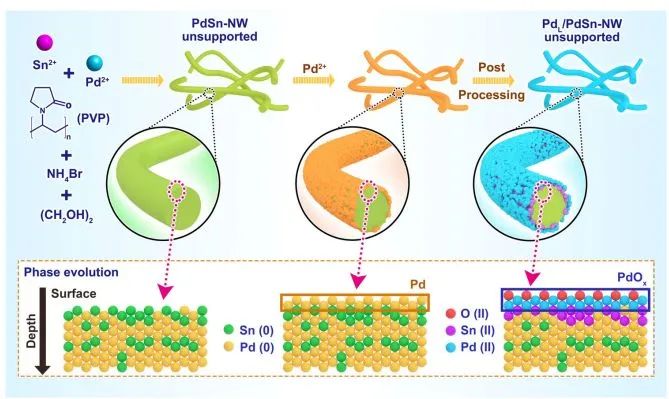 熊海峰/黄小青/林森Nature子刊：PdSn纳米线上层状Pd氧化物促进直接H2O2合成