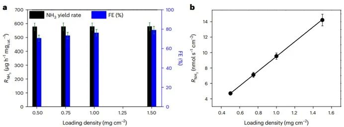 张海民/赵惠军Nat. Sustain.：用于绿色生产氨的原子分散Fe-Co双金属电催化剂