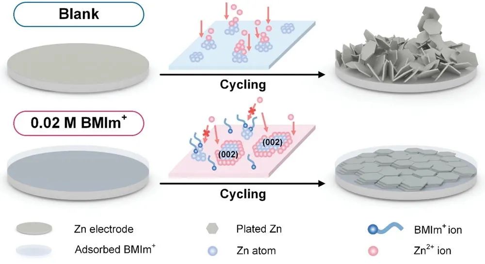 ​黄云辉/李真AEM：BMIm+诱导（002）平面择优生长实现长循环水系锌电
