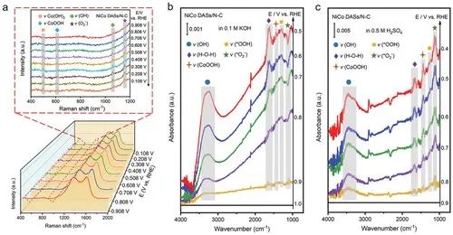 催化顶刊集锦：AFM、Angew、Nature子刊、JMCA、ACS Nano等成果