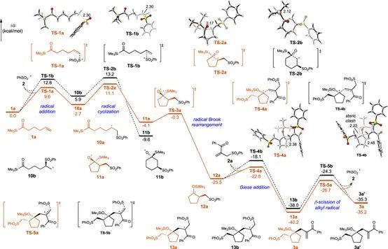 戚孝天/沈晓/吴骊珠Nature子刊：非产能转移光催化作用下烯烃系链酰基硅烷和烯丙基砜的级联环化反应