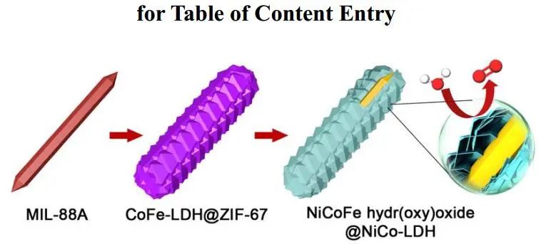 于乐&楼雄文Angew.：NiCoFe-HO@NiCoLDH YSMRs助力OER