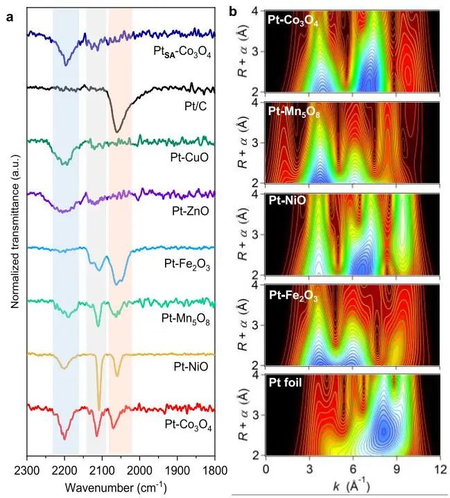 乔世璋/郑尧/朱艺涵，最新JACS！