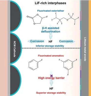 ​华科谢佳/曾子琪AFM：含氟化共溶剂的碳酸酯电解液助力高压锂金属电池