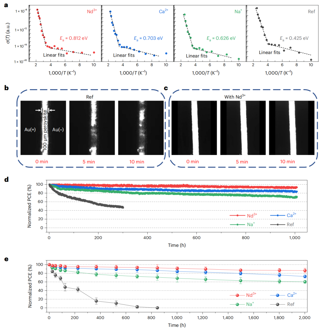 UCLA杨阳教授，最新Nature Materials！