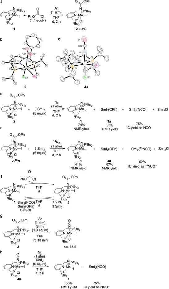 催化顶刊集锦：Nature、Nature commun.、ACS Nano、AM、Angew等成果